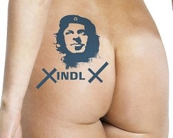 Xindl X