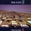 Pink Floyd - A Momentary Lapse Of Reason