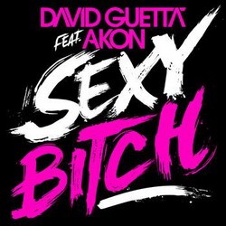 David Guetta Feat. Akon - Sexy Bitch