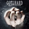 Gotthard - Need To Believe