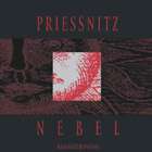 Priessnitz - Nebel