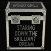 Indigo Girls - Staring Down Te Brilliant Dream