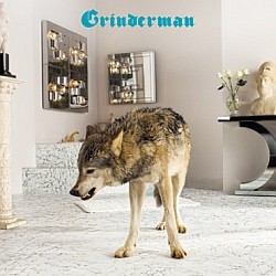 Grinderman - Grinderman 2