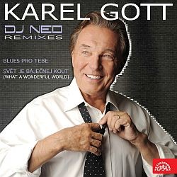 Karel Gott - Remix EP (DJ Neo)