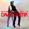 David Guetta - Nothing But The Beat 2.0.