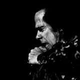 Nick Cave and The Bad Seeds, Bazant Pohoda, Trencin, 13.7.2013