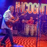 Incognito, Lucerna Music Bar, Praha 25.10.2015 (fotogalerie)