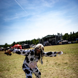 Basinfirefest, Čtvrtý den, Přírodní areál, Spálené Poříčí, 29.6.2024