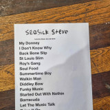 Seasick Steve, Lucerna Music Bar, Praha, 29.10.2024