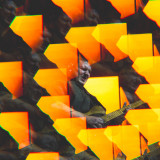 Kateřina Marie Tichá & Bandjeez, O2 Universum, 29.11.2025  